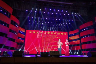 光影与旋律的盛宴 华源置业2014璀璨之夜